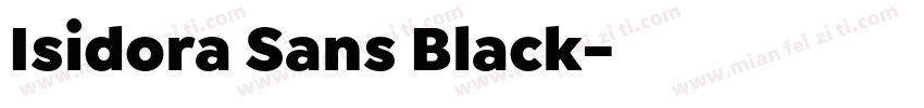Isidora Sans Black字体转换